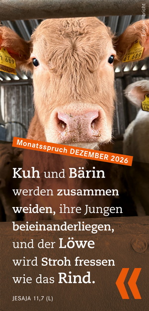 Monatsspruch 11.26